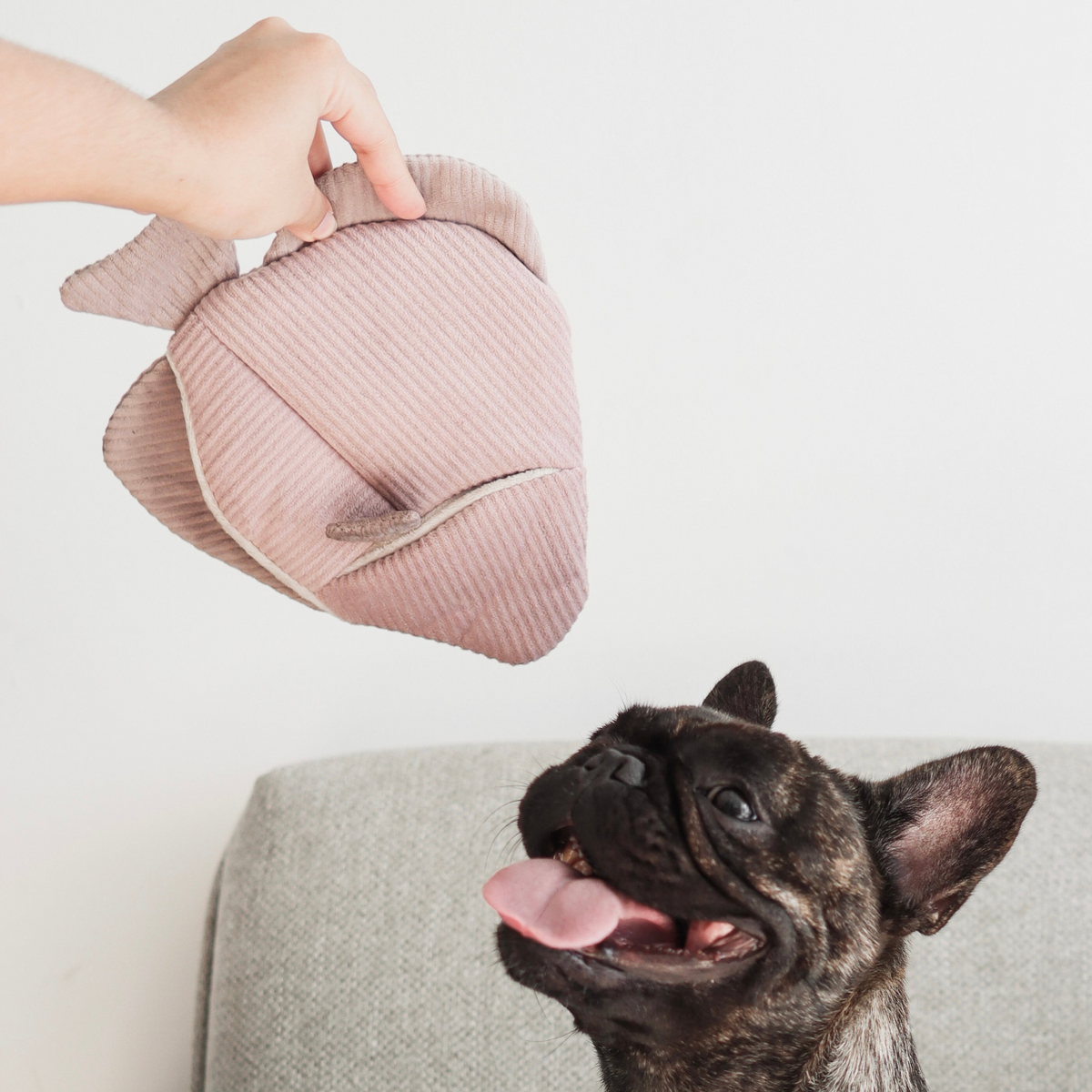Angel Fish | Premium Snuffle Enrichment Toy For Dogs – Wanderpup