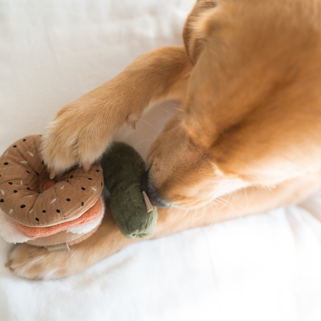 Bagel + Pickle