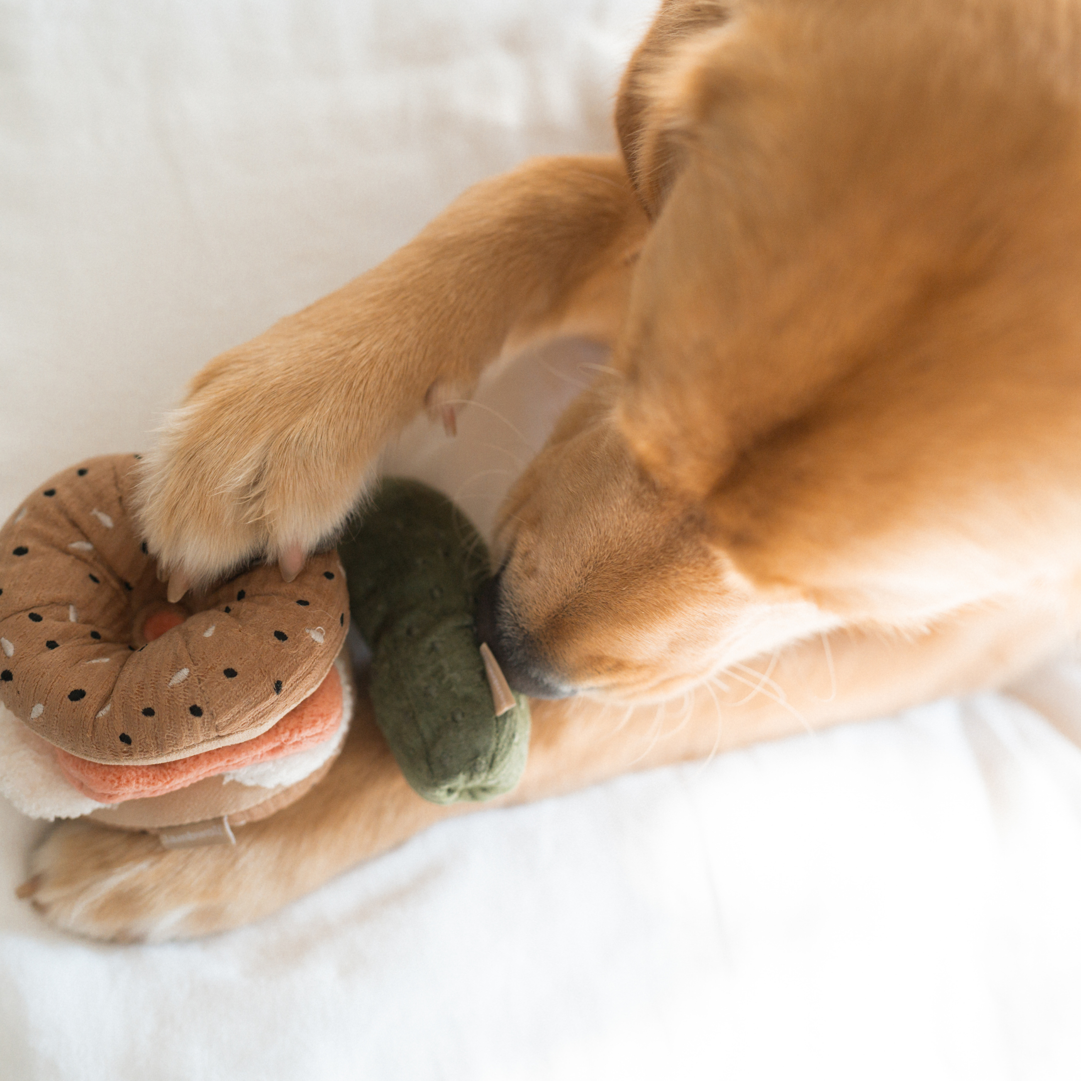 Bagel + Pickle