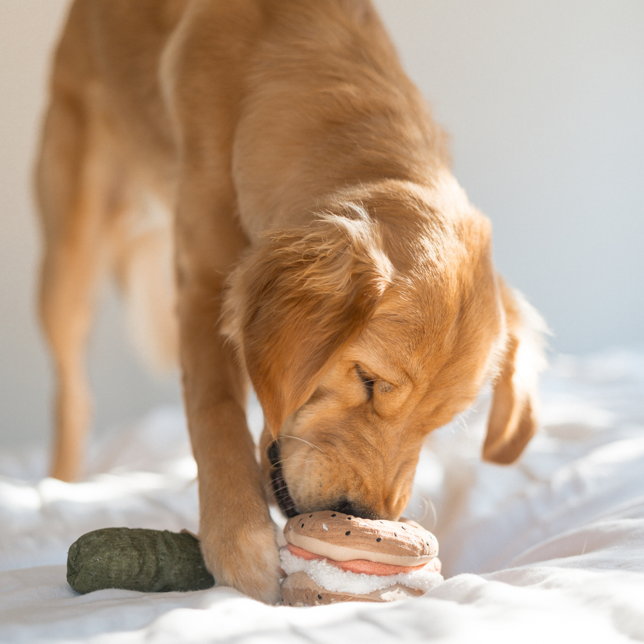Bagel + Pickle