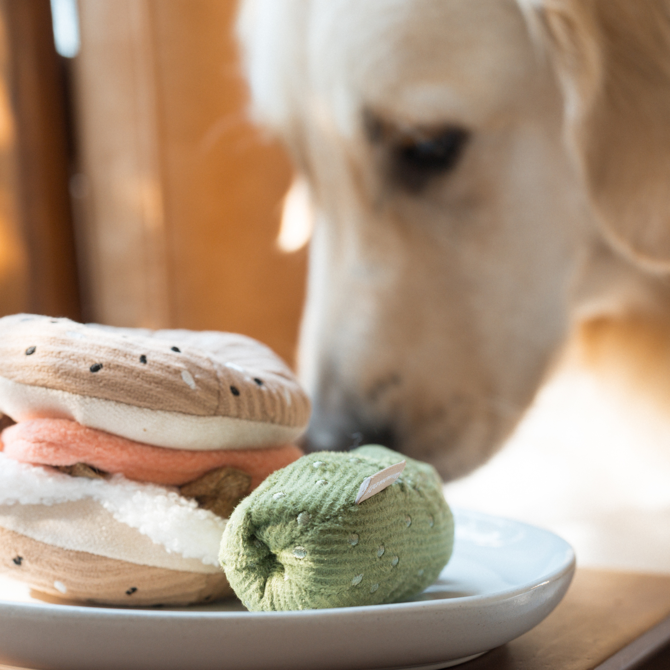 Bagel + Pickle