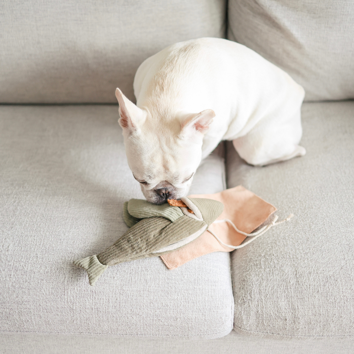 Flying Fish | Premium Snuffle Enrichment Toy For Dogs – Wanderpup