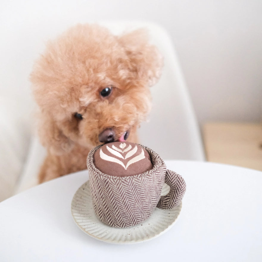 Latte Pop