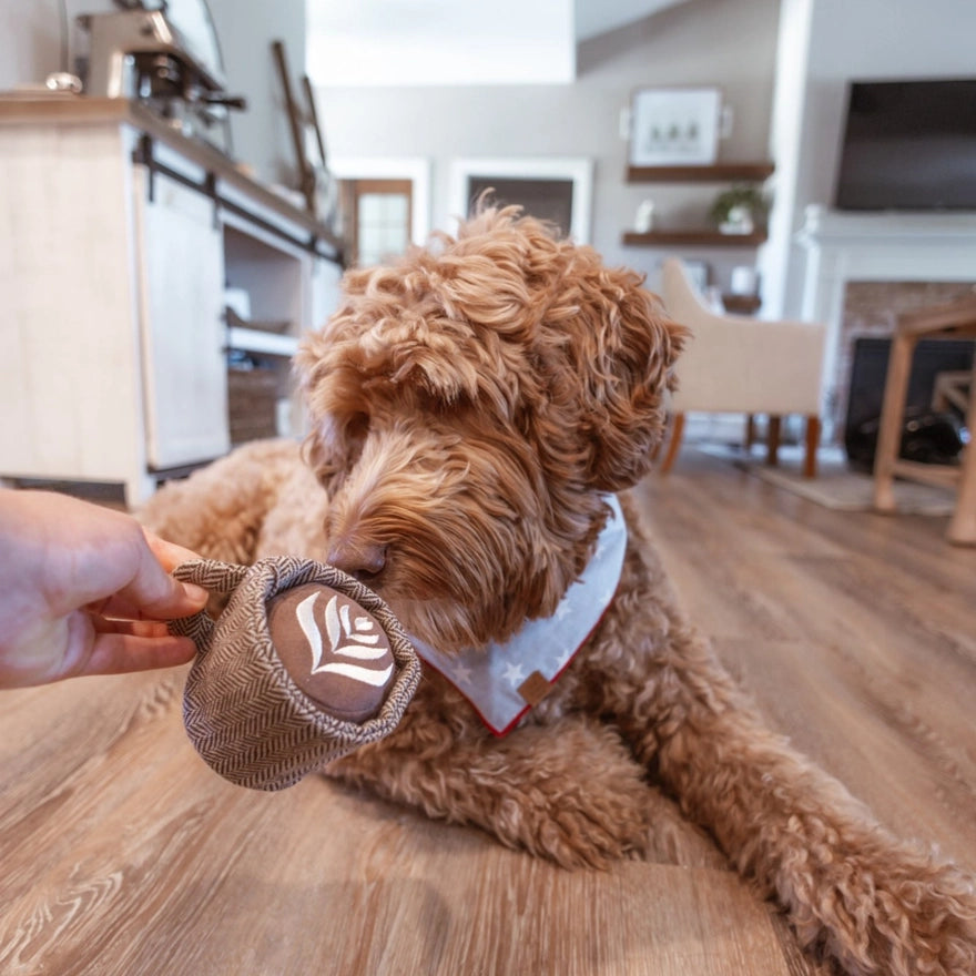 Latte Pop