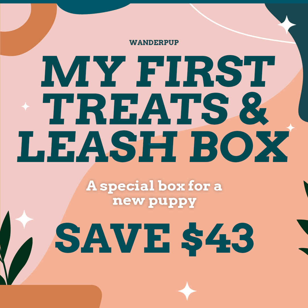 My First Treats & Leash Bundle