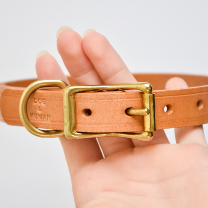 Human dog collar deals