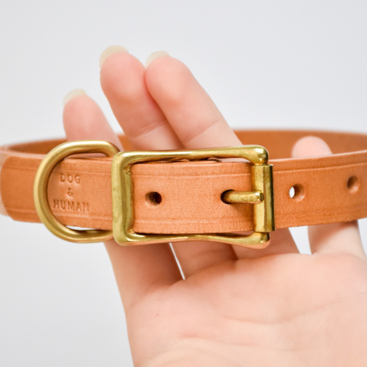 Puppy Collar