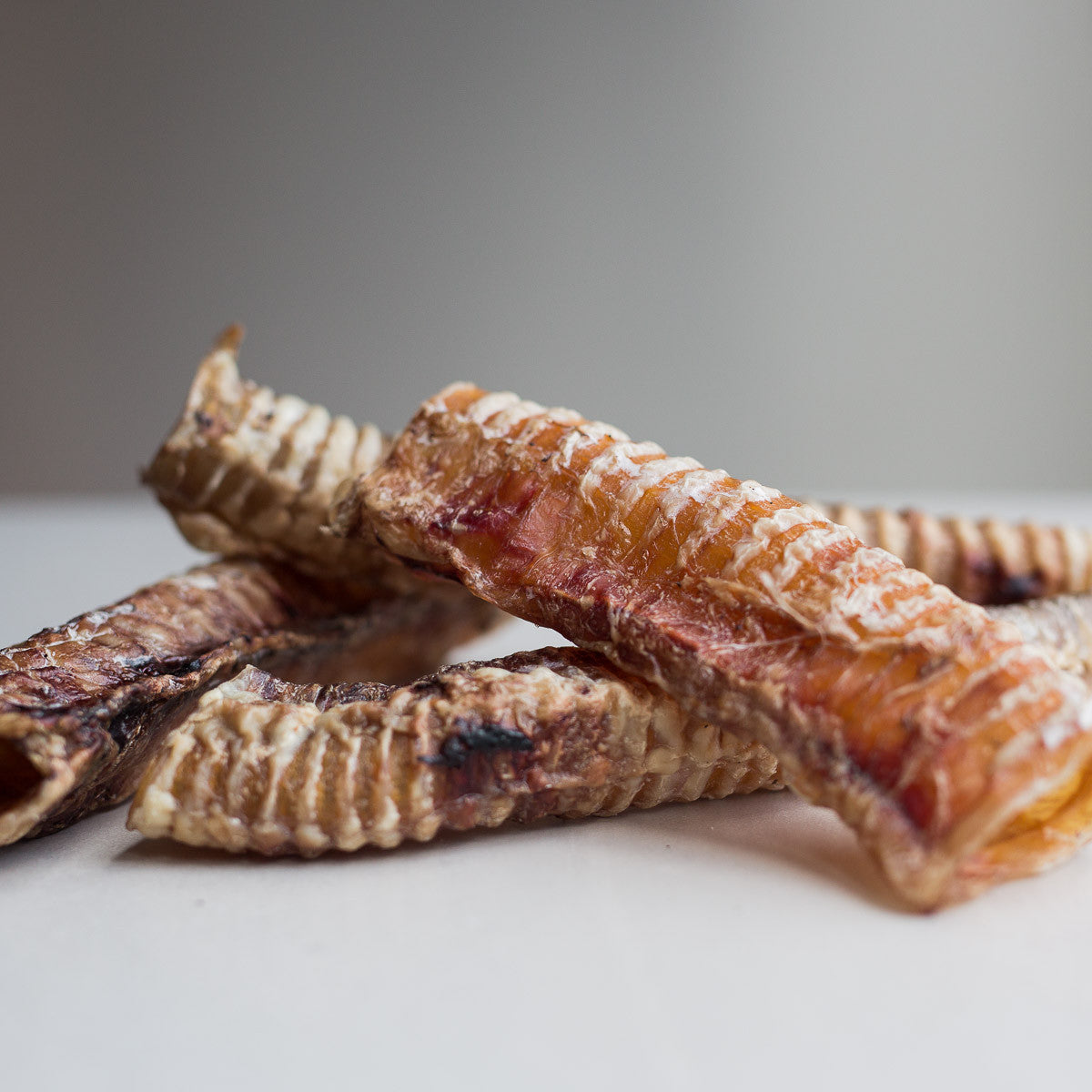 beef trachea moo toobs healthy raw natural dog treats
